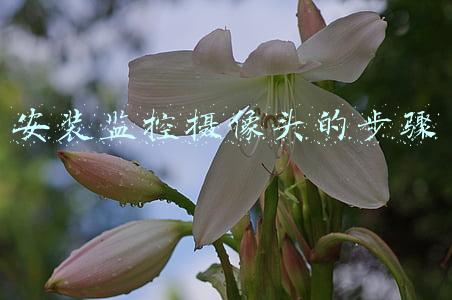 电脑安装监控摄像头的步骤(春节想要用上新电脑，新酷睿i5主机这样装)