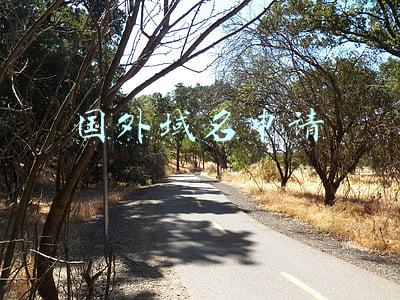 如何注册海外域名(域名百科 | 在国内注册域名，与国外注册域名有什么区别？)