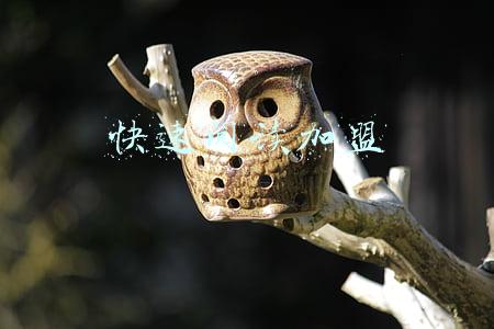 快速阅读加盟机构(加盟全脑开发教育机构选对品牌很重要)
