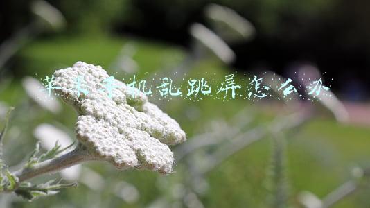 iphone屏幕乱点乱跳解决办法(苹果iPhone 屏幕乱跳失灵的原因和处理方法)