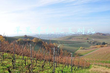 苹果手机配置对比表(iphone13参数价格对比 苹果13/13pro/13promax详细配置对比区别)