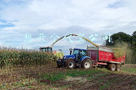 想开个代驾公司 具体怎么弄(小地方代驾公司怎么开？)