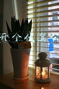 想开个代驾公司