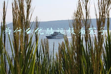 为什么优酷视频不能转码了(办公技能分享，优酷kux视频如何转为mp4、flv等常见格式)