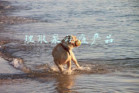 理肤泉祛痘产品可以长期用吗(理肤泉才是痘肌的终生伴侣！痘皮看这里~)