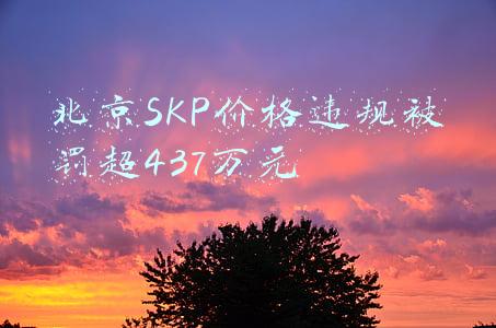北京SKP价格违规被罚超437万元