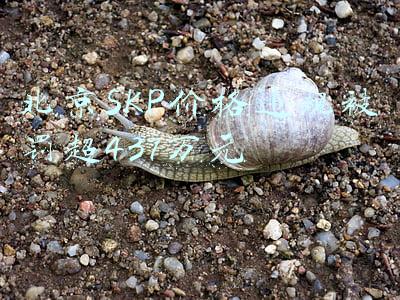 北京SKP价格违规被罚超437万元
