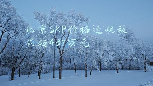 北京SKP价格违规被罚超437万元