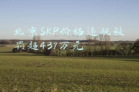 北京skp商场退换货规定(加拿大鹅实体店无法退货？被约谈后仍无明确解释)