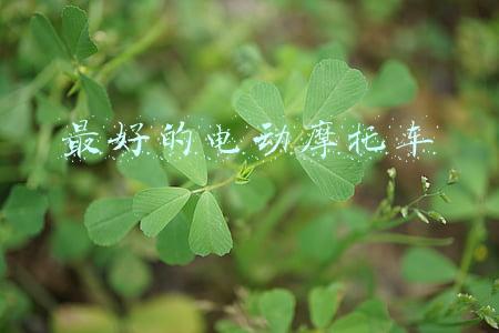 最好的电动摩托车