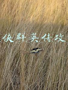 武侠群英录攻略(后继无人？当年叱咤影坛的10位女打星，如今最小的也已经51岁了)