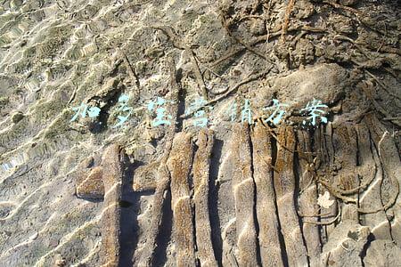 加多宝营销创意(用祝福致敬2021，加多宝牛年春节营销这么做)