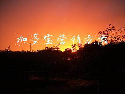 加多宝广告策划方案(与广告公司合同纠纷，加多宝被判交付24万箱饮料)