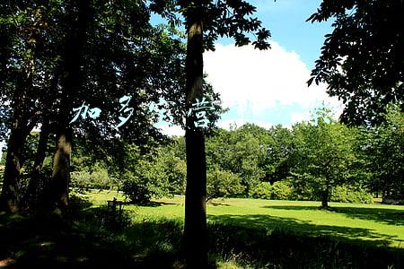 加多宝对不起事件营销(如何策划一场“有预谋”的事件营销？)