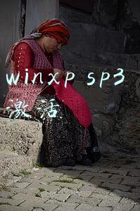 winxp sp3 激活