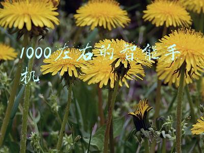 1000左右的智能手机