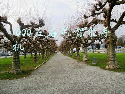 1000左右的智能手机