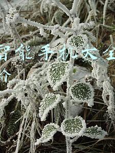 联想手机价格大全(联想拯救者电竞手机2 Pro今日开售，3699元起)
