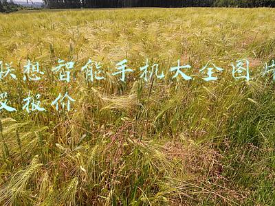 联想手机报价表(联想拯救者电竞手机2 Pro放大招：18GB内存堪比PC，售价5999元)