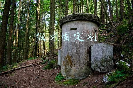 假牙固定剂