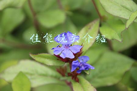 佳能镜头介绍