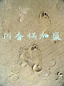 奇力麻辣香锅加盟(奇力吊顶创业精英，一起来学学他们的致富经)