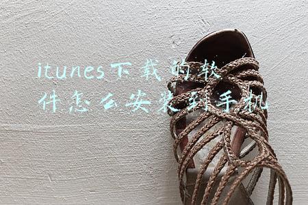 itunes下载的软件怎么安装到手机