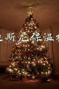 迪士尼保温杯能带吗(上海迪士尼应该怎么玩，从入园前的准备到贴心小提示)