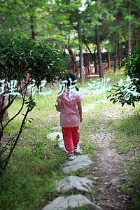 代理记账哪家好