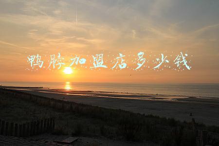 鸭脖店加盟要多少钱-加盟鸭脖店费用多少