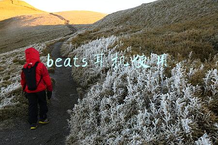 beats耳机使用时灯亮吗(Beats Fit Pro评测：你的TWS耳机肯定买早了)