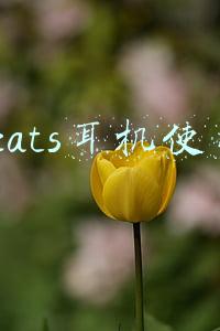 beats耳机(大型真香！Beats Studio Buds一个月使用心得)