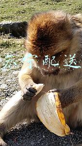 苏宁配送
