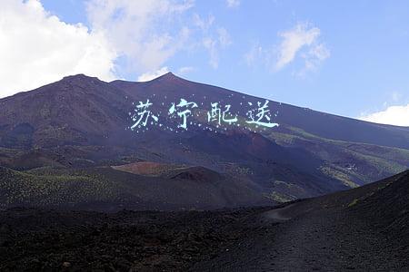 苏宁配送