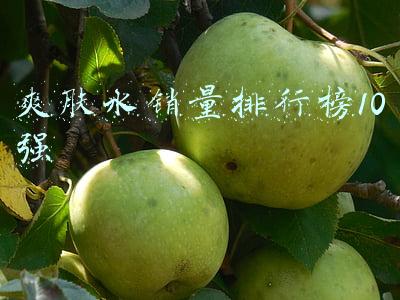 国内品牌爽肤水排行榜前十名(最好用的爽肤水排行榜Top10)