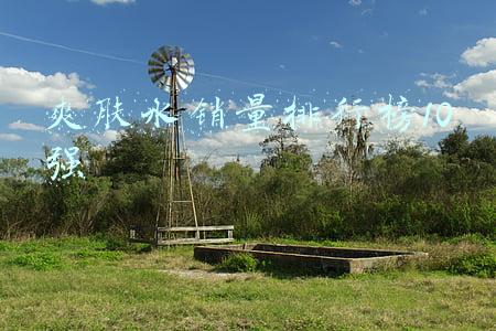 十大爽肤水排行榜10强(爽肤水什么样的好 效果好的爽肤水排行榜前十名)