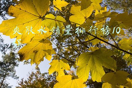 爽肤水排行榜10强(爽肤水哪个牌子的效果好 全球十大好用爽肤水排行榜推荐)