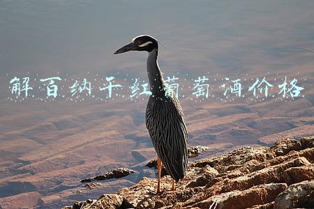 王朝解百纳干红葡萄酒价格(王朝酒业没落：业绩连年巨亏，解百纳甜蜜素不合规登监管黑榜)