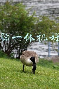 一体机电脑好用吗(AOC电脑一体机，感受极速的使用体验，为商务办公注入强劲动力)