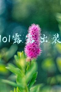 LOL露露出装推荐(《云顶之弈》s5璐璐怎么出装 s5璐璐最新出装推荐)