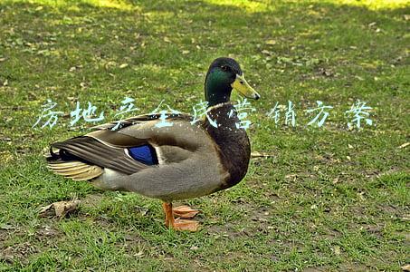 房地产全民营销方案