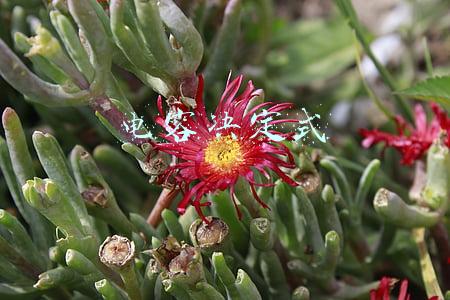 电容决定式是什么(电容是起什么作用的？带你更深一步了解)