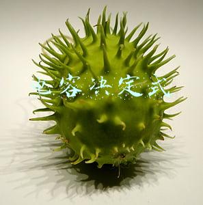 电容决定式中的S指的是什么(带你认识电容)