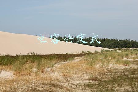 平行板电容器的电容决定式(电容器动态分析问题)