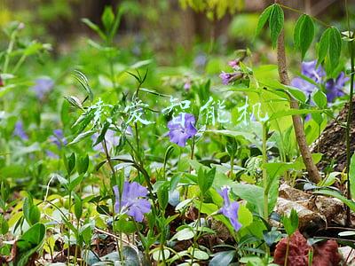 索爱智能机怎么样(行少盘机·20索尼爱立信经典智能机——索爱P990i)