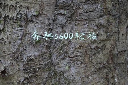 奔驰s600轮胎