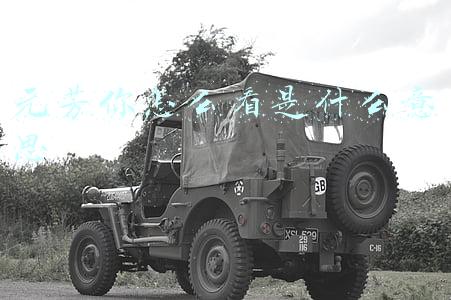元芳你怎么看是什么意思