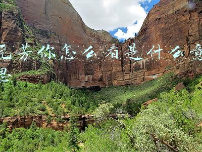 元芳你怎么看是什么意思图片(00后创造的网络黑话，每个字母都认识，串在一起后，90后也看不懂)