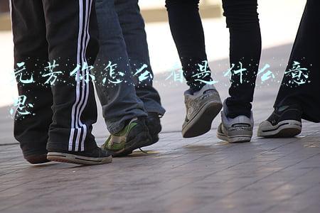 元芳你怎么看是什么意思