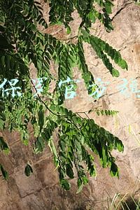 圣大保罗箱包官网(旅行箱包抽检近半数不合格，七匹狼、花花公子上“黑榜”)